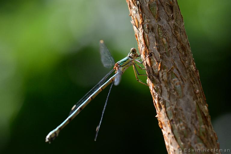 ENE-20130818-0359.jpg